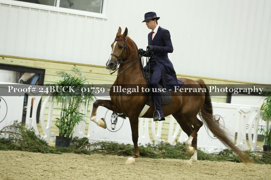 Proof 24BUCK_01759