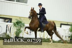 24BUCK_01759 proof