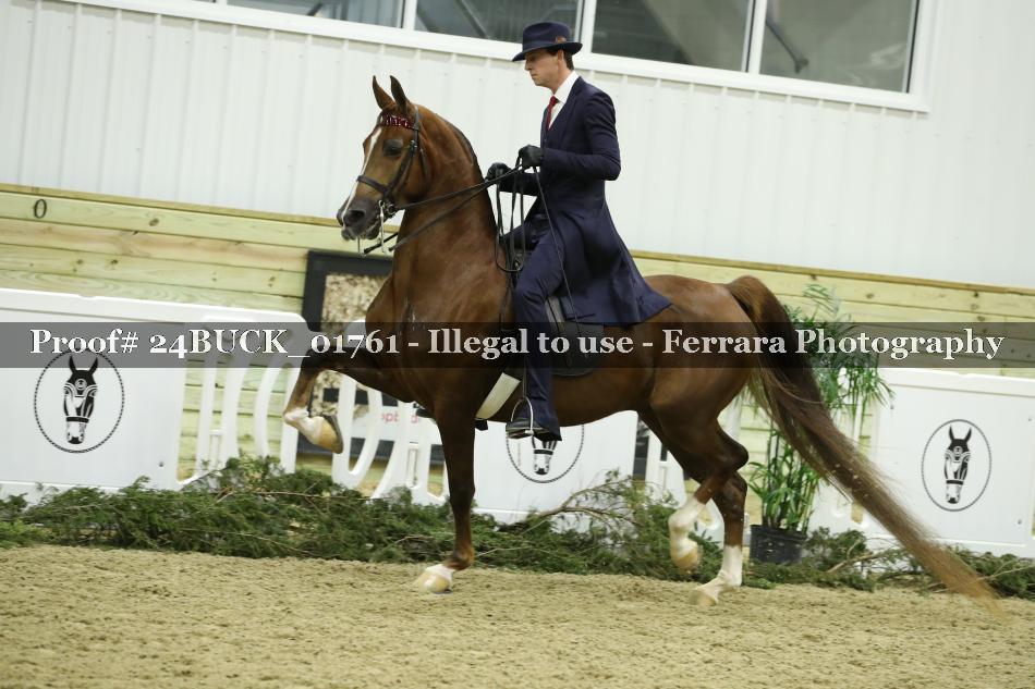 Proof 24BUCK_01761