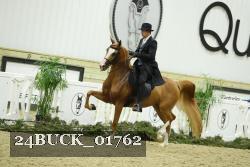 24BUCK_01762 proof