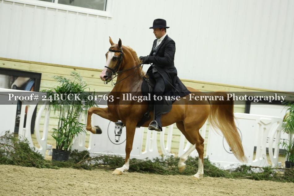Proof 24BUCK_01763