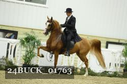 24BUCK_01763 proof