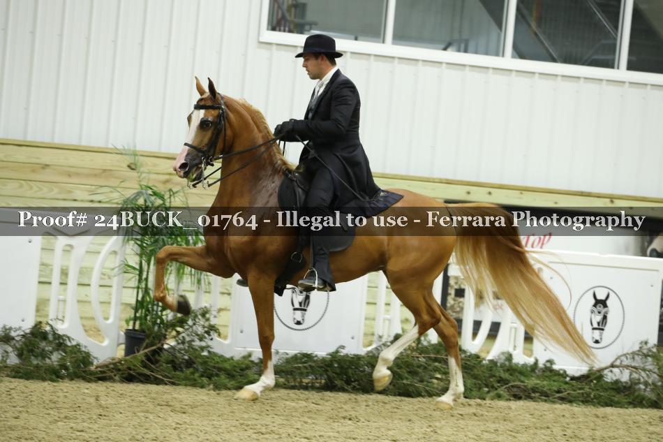 Proof 24BUCK_01764