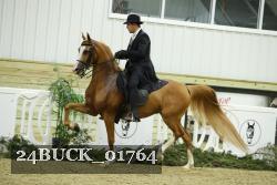 24BUCK_01764 proof