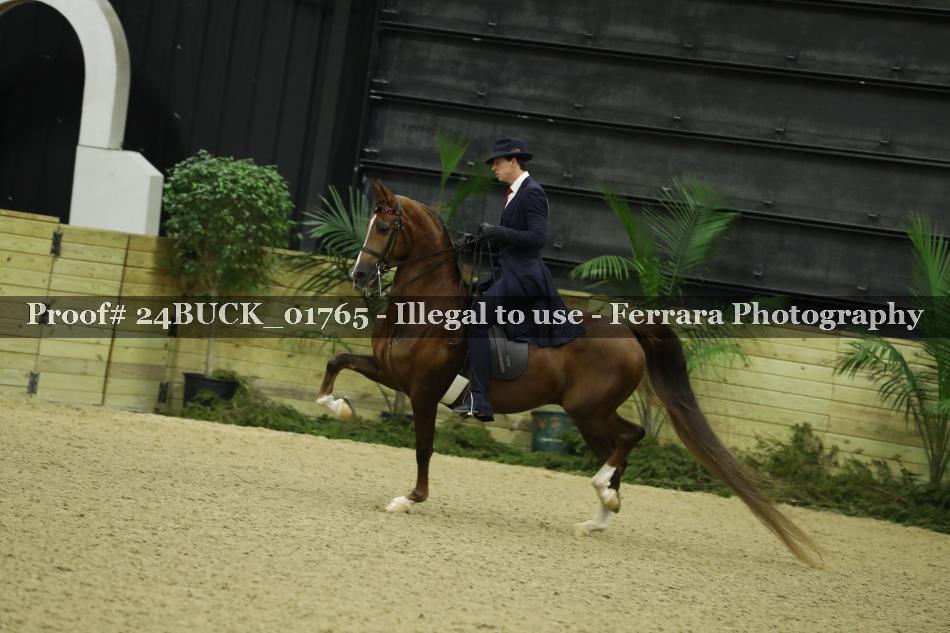 Proof 24BUCK_01765
