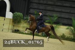 24BUCK_01765 proof