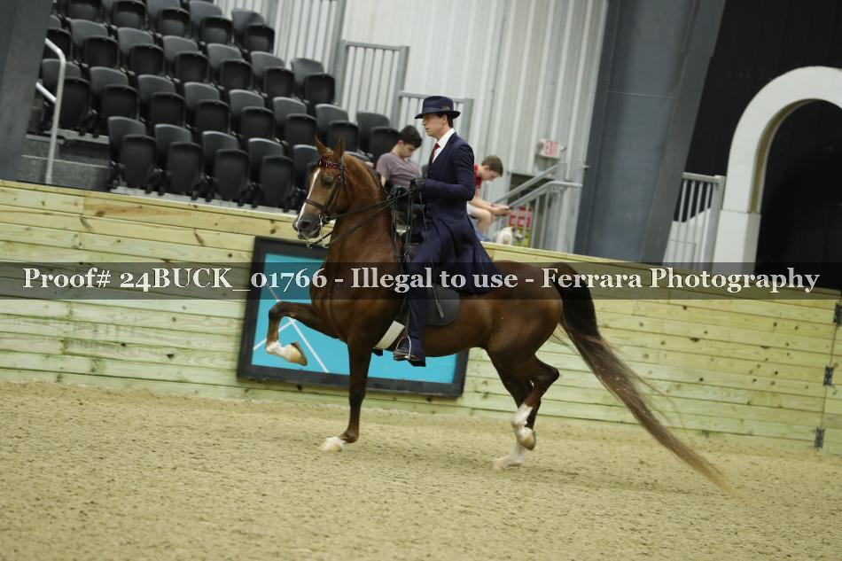 Proof 24BUCK_01766