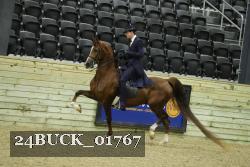 24BUCK_01767 proof