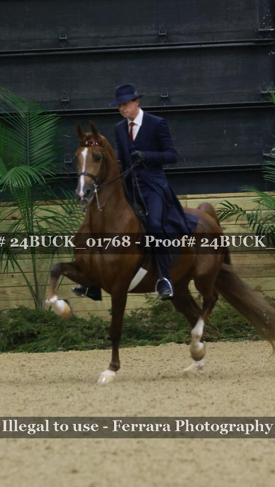 Proof 24BUCK_01768