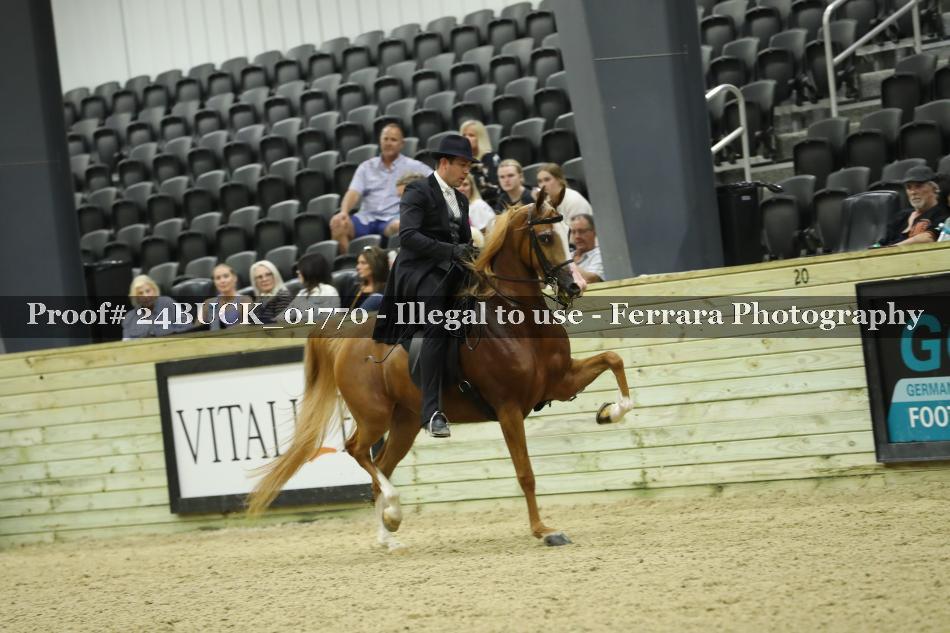 Proof 24BUCK_01770