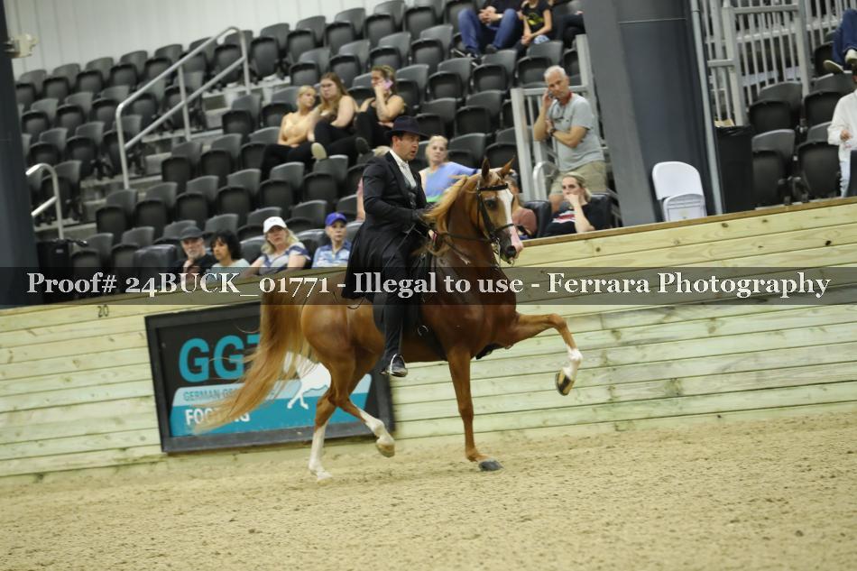 Proof 24BUCK_01771