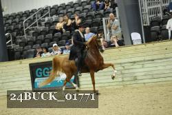 24BUCK_01771 proof