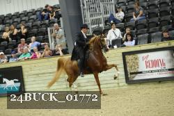 24BUCK_01772 proof