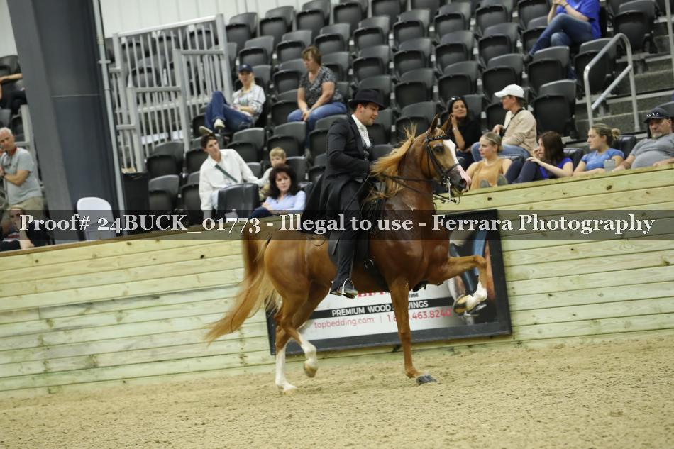 Proof 24BUCK_01773