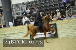 24BUCK_01773 proof