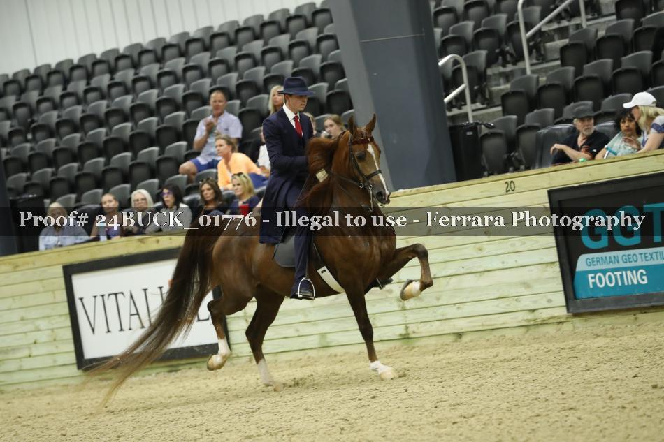 Proof 24BUCK_01776