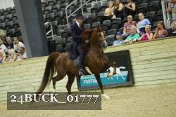 24BUCK_01777 proof