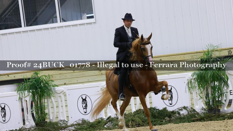 Proof 24BUCK_01778