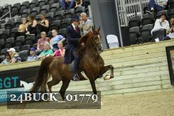 24BUCK_01779 proof