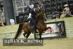 24BUCK_01780 proof
