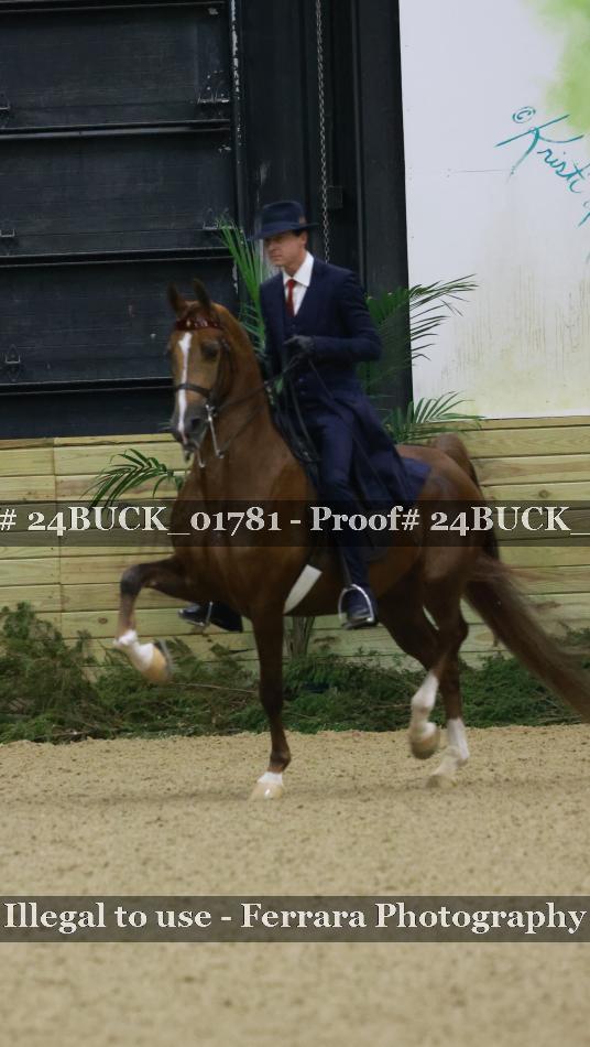 Proof 24BUCK_01781