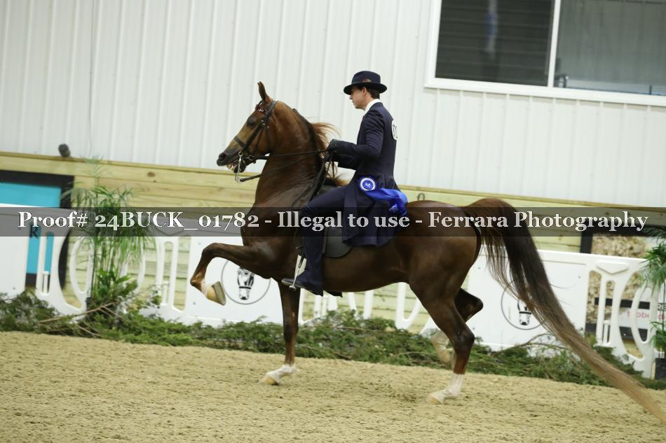Proof 24BUCK_01782