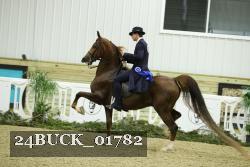 24BUCK_01782 proof