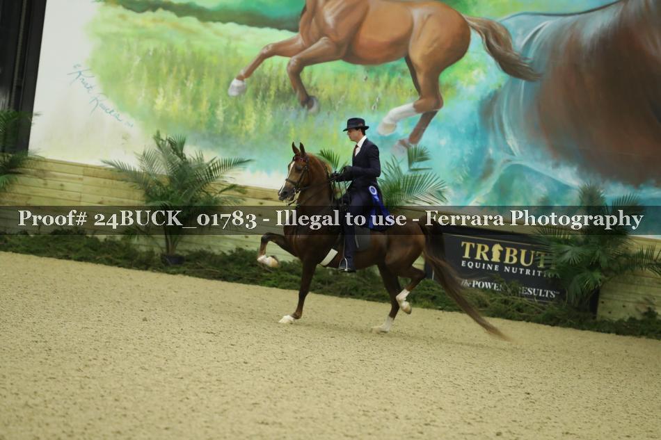 Proof 24BUCK_01783