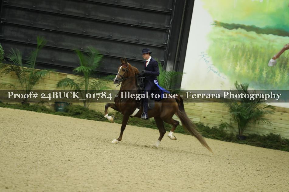 Proof 24BUCK_01784