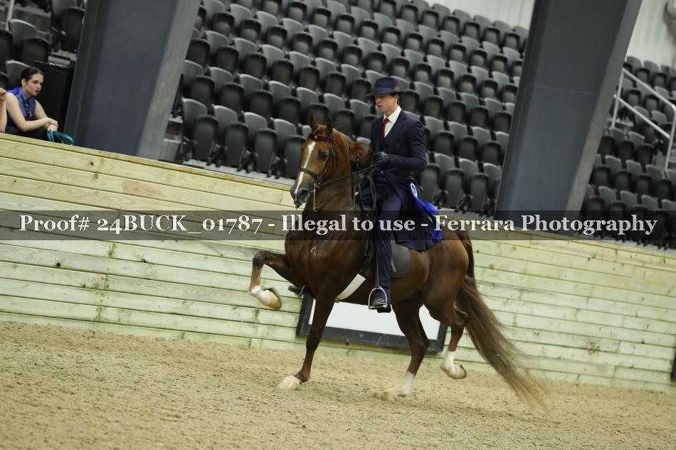 Proof 24BUCK_01787