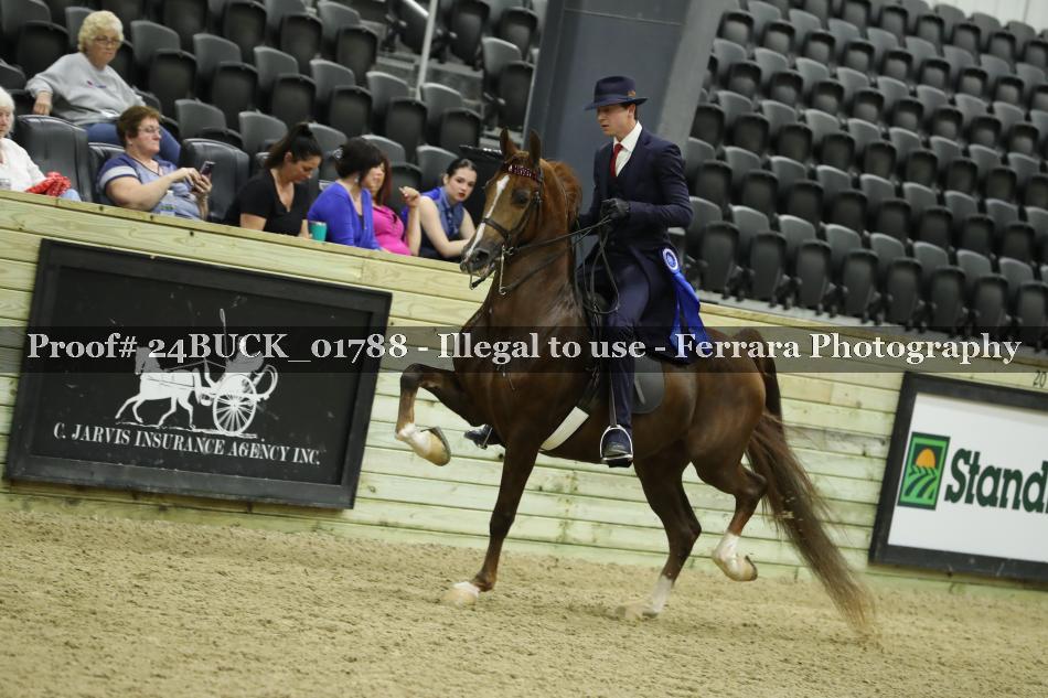 Proof 24BUCK_01788