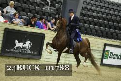 24BUCK_01788 proof