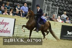 24BUCK_01790 proof