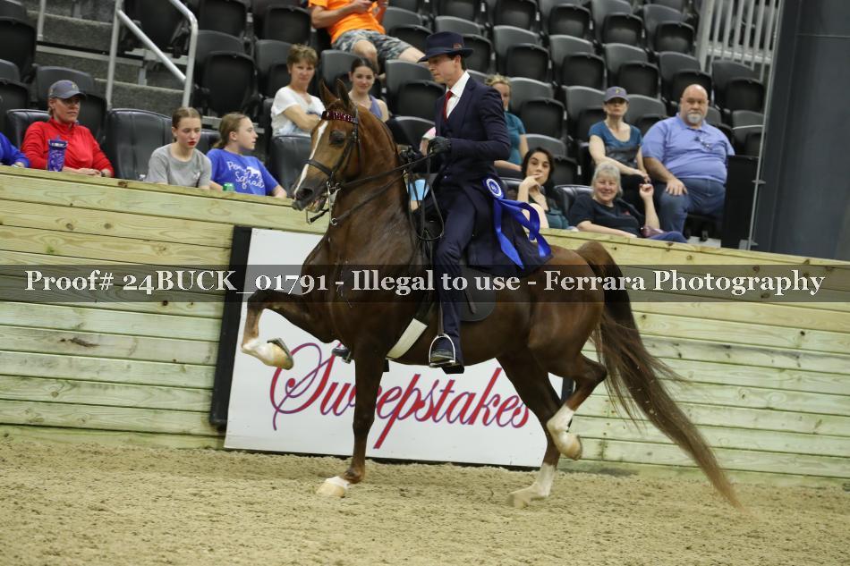 Proof 24BUCK_01791