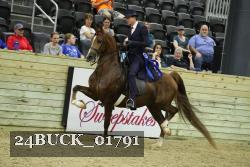 24BUCK_01791 proof