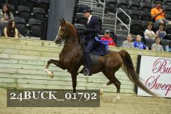 24BUCK_01792 proof