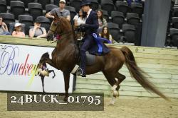 24BUCK_01795 proof