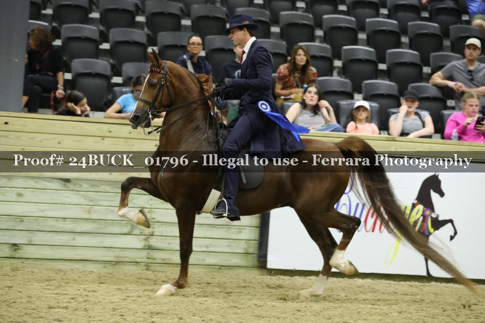 Proof 24BUCK_01796