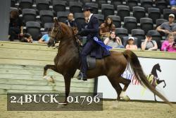24BUCK_01796 proof