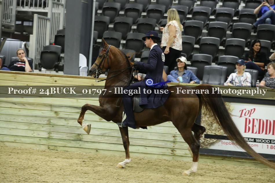 Proof 24BUCK_01797