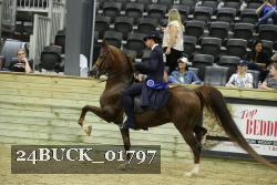 24BUCK_01797 proof