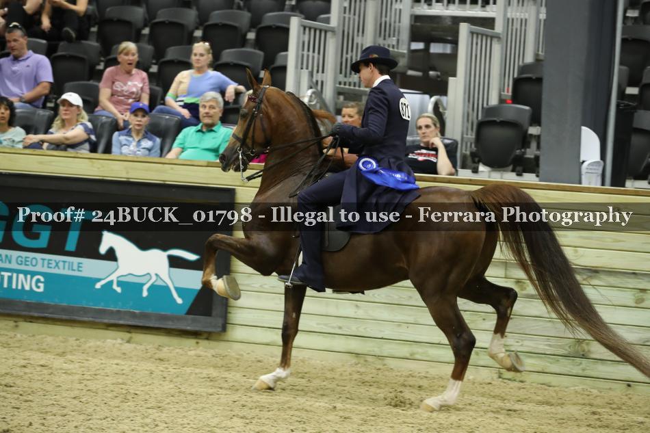 Proof 24BUCK_01798