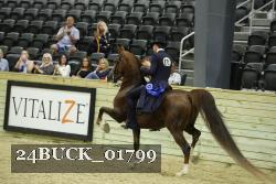 24BUCK_01799 proof