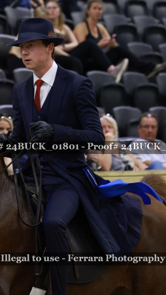 Proof 24BUCK_01801