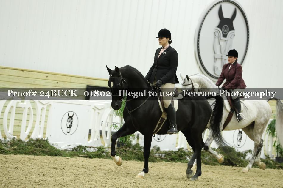 Proof 24BUCK_01802