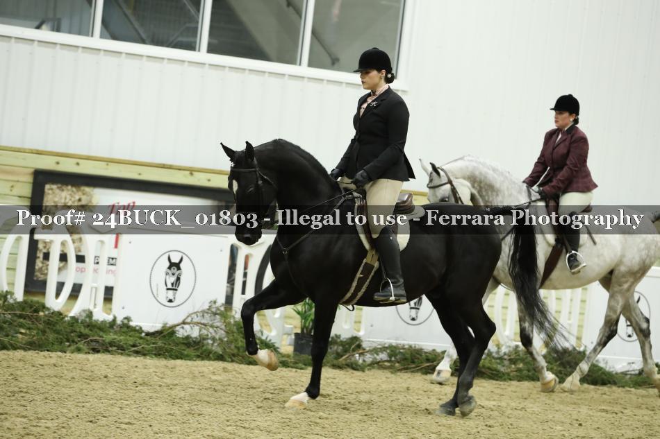 Proof 24BUCK_01803