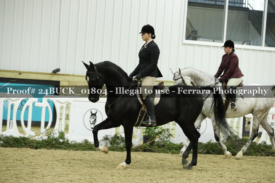 Proof 24BUCK_01804