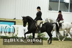 24BUCK_01804 proof