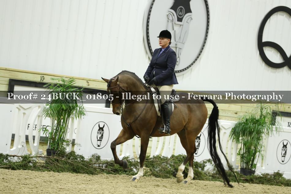 Proof 24BUCK_01805