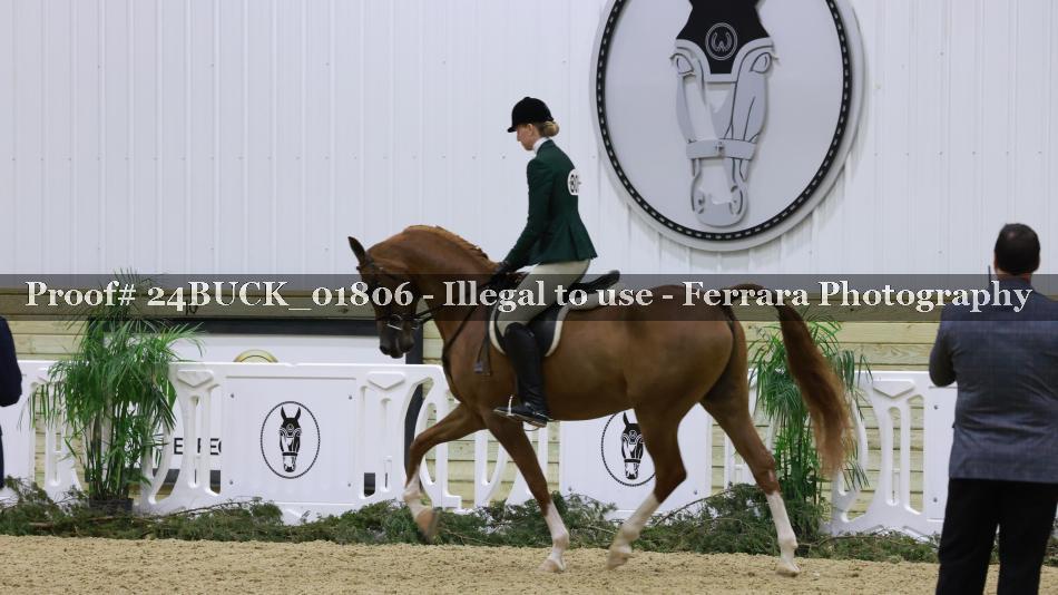 Proof 24BUCK_01806